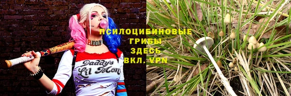 бошки Аркадак