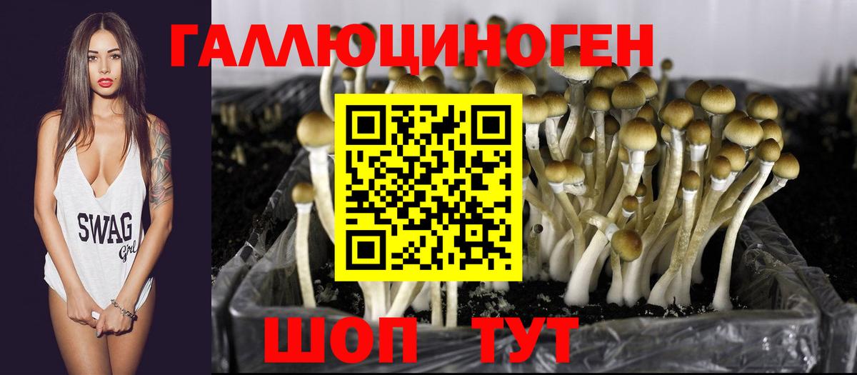 Галлюциногенные грибы GOLDEN TEACHER Аша