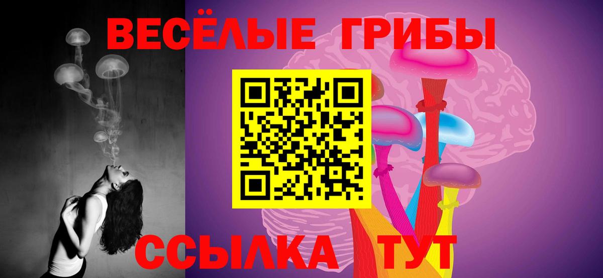 Псилоцибиновые грибы Psilocybe  купить наркотики цена  Псилоцибиновые грибы прущие грибы  Аша  Вход с VPN 